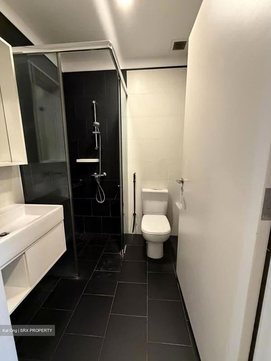 Village @ Pasir Panjang (D5), Condominium #639119461